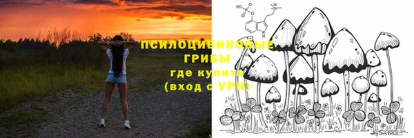 стафф Абинск